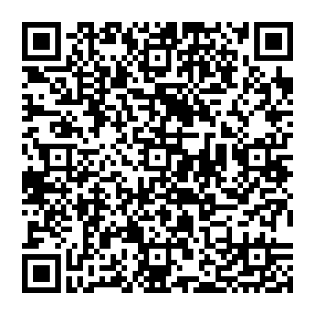vCard 79231743385