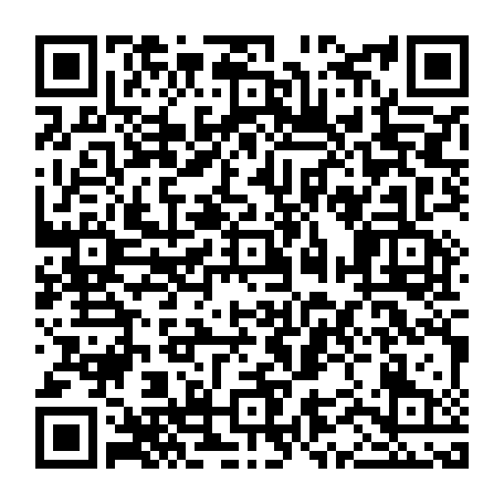 vCard 79231743387
