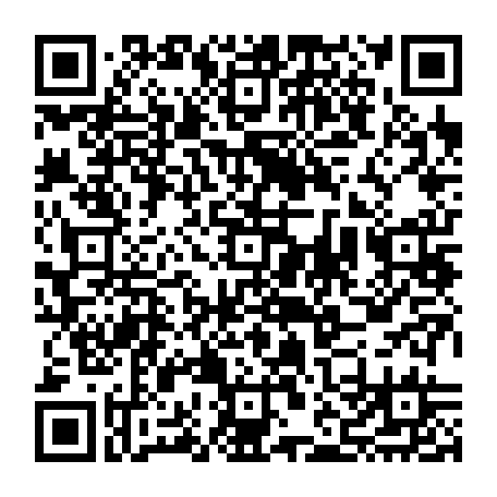 vCard 79231743388