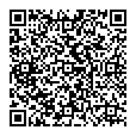vCard 79231744029