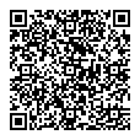 vCard 79231744386