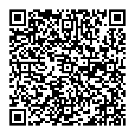 vCard 79231745401