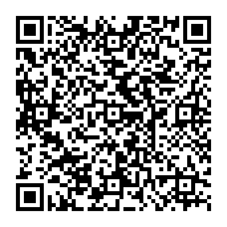 vCard 79231745403