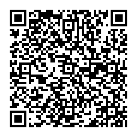 vCard 79231745408