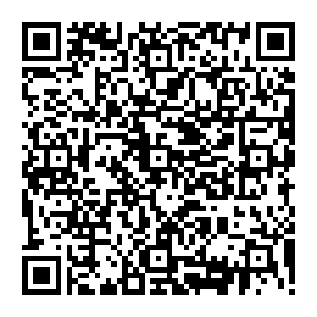 vCard 79231783381