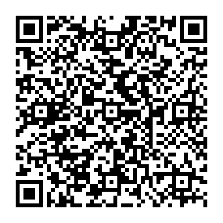 vCard 79231816701