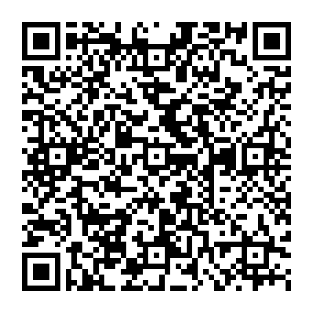 vCard 79231817383