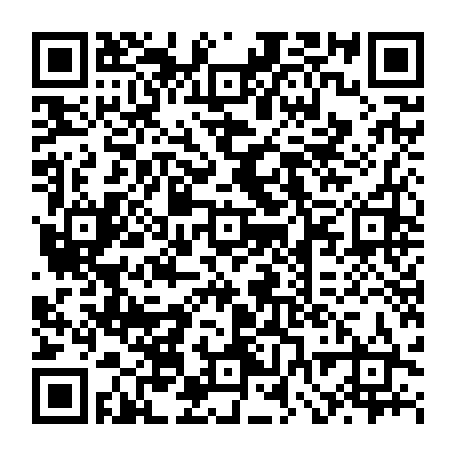 vCard 79231819317