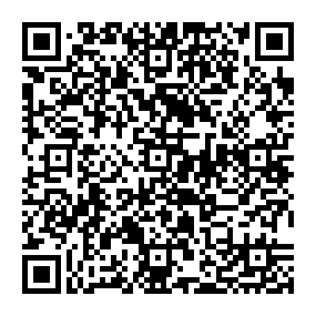 vCard 79231980013