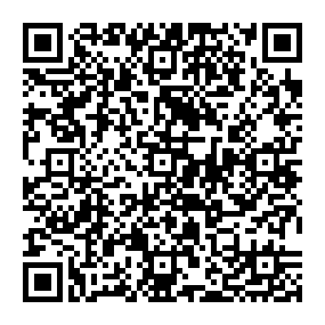 vCard 79231983717