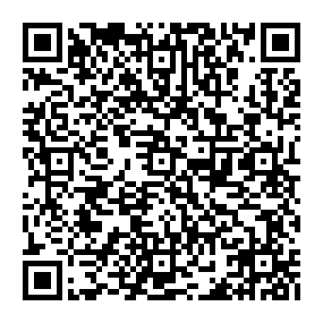 vCard 79231988204
