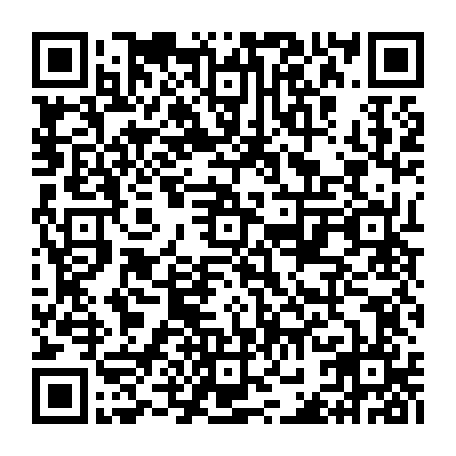vCard 79231988411
