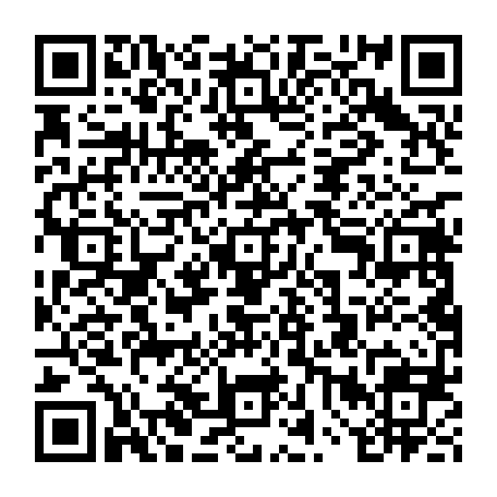 vCard 79232038333