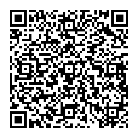 vCard 79232041675
