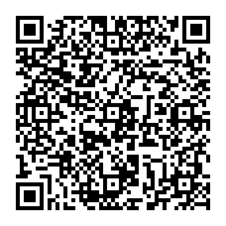 vCard 79232053003