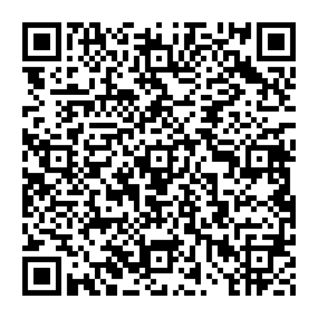 vCard 79232053389