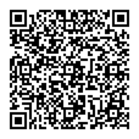 vCard 79232053981