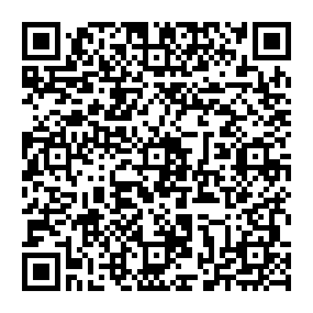 vCard 79232054337