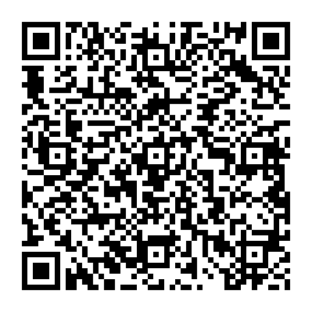 vCard 79232054667