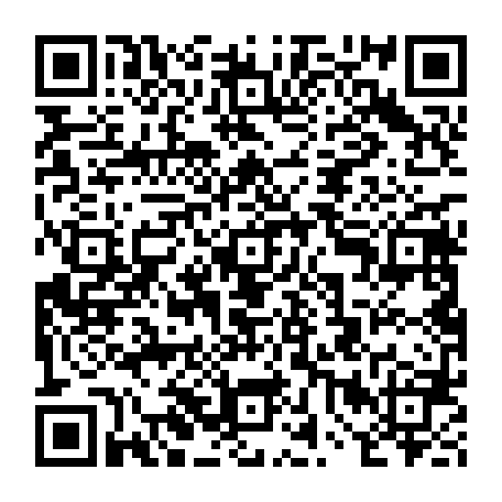 vCard 79232055204