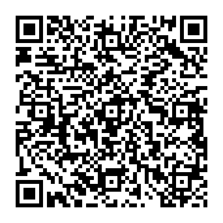vCard 79232055387