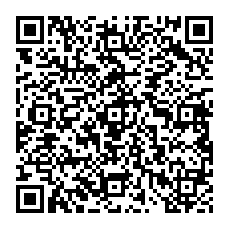 vCard 79232056223