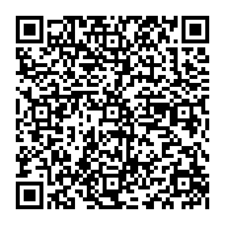 vCard 79232056388