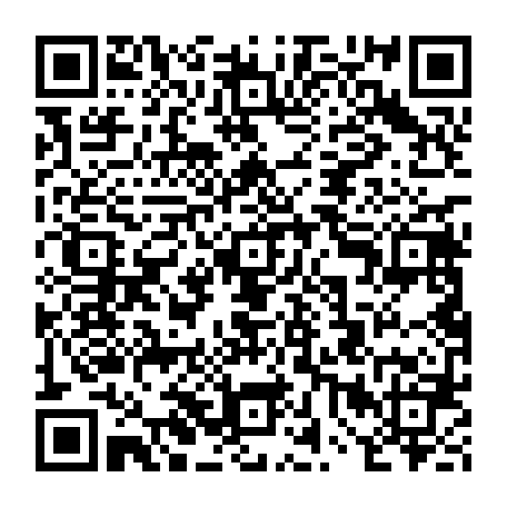 vCard 79232060004