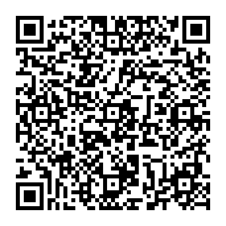 vCard 79232062082