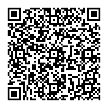 vCard 79232063333