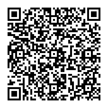 vCard 79232064917
