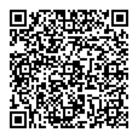 vCard 79232068054