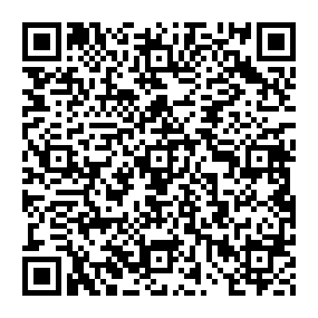 vCard 79232078037