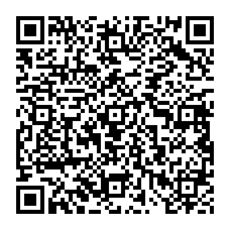 vCard 79232078100