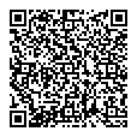 vCard 79232078174