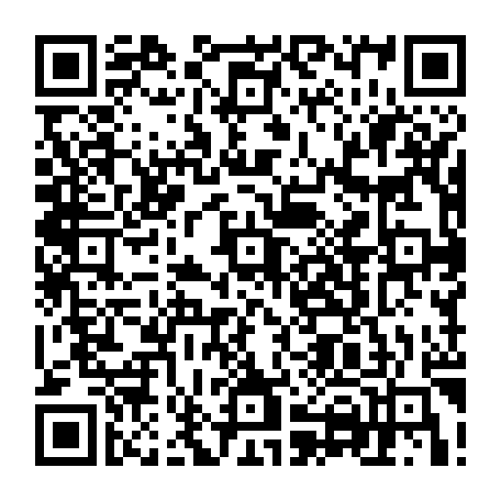 vCard 79232078381