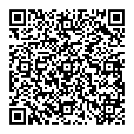 vCard 79232079503