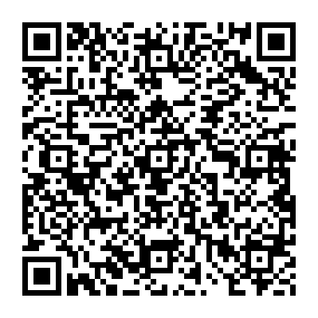 vCard 79232084036
