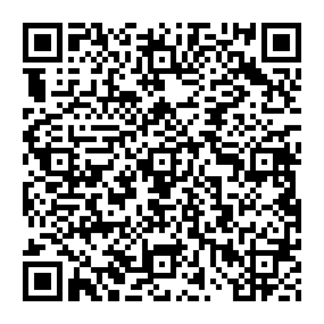 vCard 79232084081