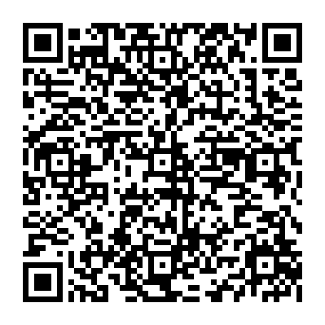 vCard 79232085387