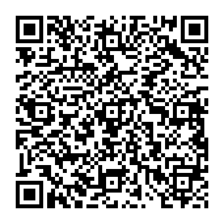 vCard 79232086369