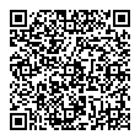 vCard 79232087038