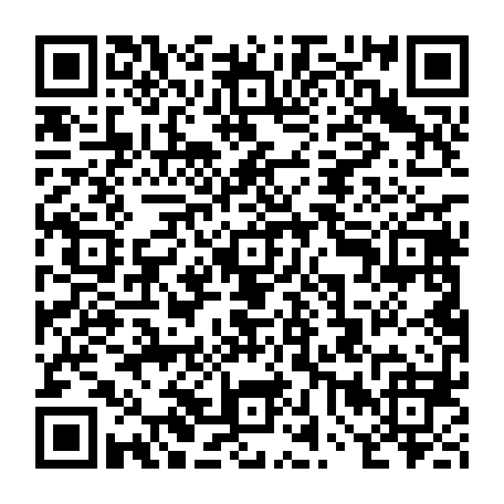 vCard 79232089504