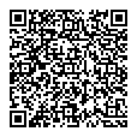 vCard 79232103772