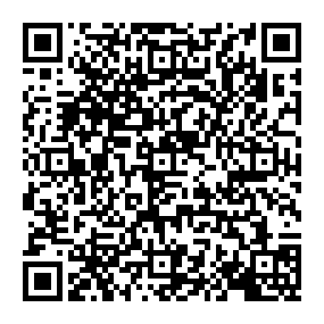 vCard 79232161413