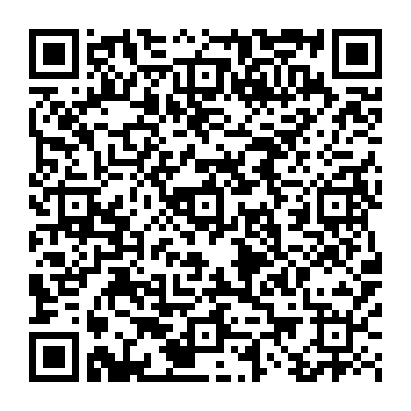 vCard 79232161503