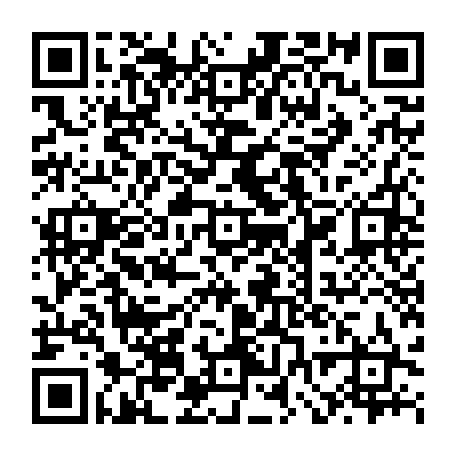 vCard 79232239029