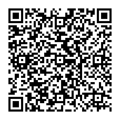 vCard 79232241630