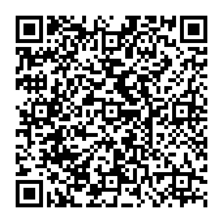 vCard 79232241691