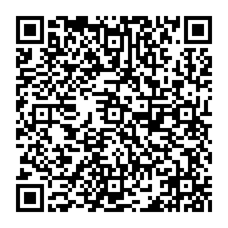 vCard 79232288419
